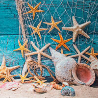 Штора  с рисунком морское дно, в ванную комнату, без колец - полиэстэр